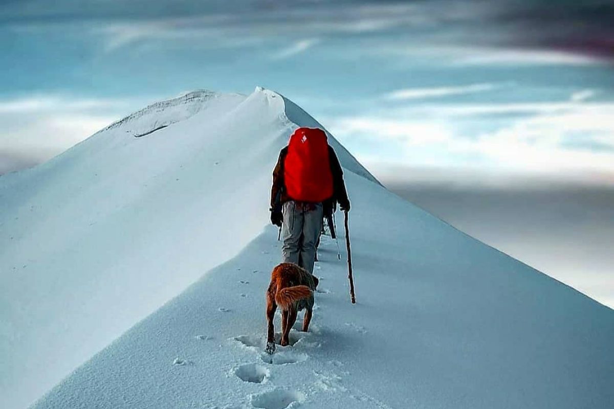 00-06-49-106112354_299112687900329_7978259824697911563_n