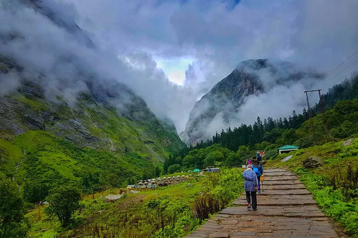 15d039c6-e4f0-4585-9213-5c21ad1c48ff_VOF-6