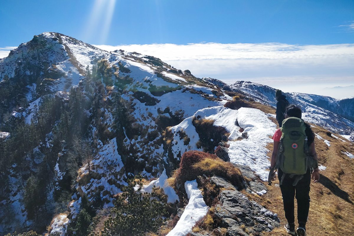 IMG_20210115_110005_01