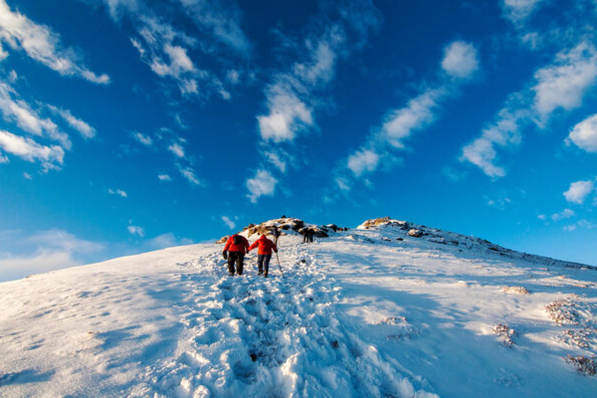 The,Final,Stretch,To,The,Peak,Of,Kedarkantha,,Uttarakhand,,India.