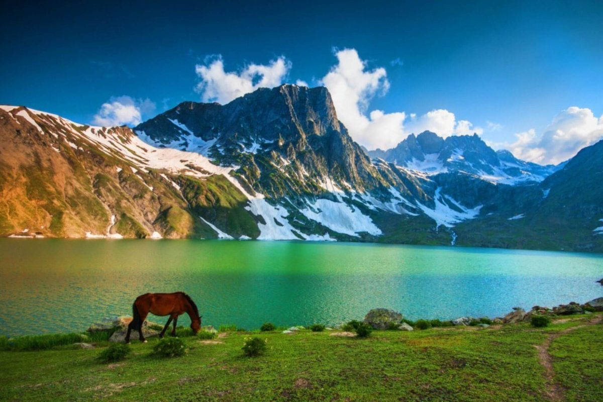 Kashmir-Great-Lakes-trek-Shepherd-Traveller