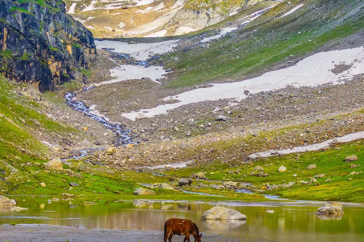 Zinu4fPdc1huKwxw_HamptaPass-RamsheshaN-Indiahikes-Monsoontreks-