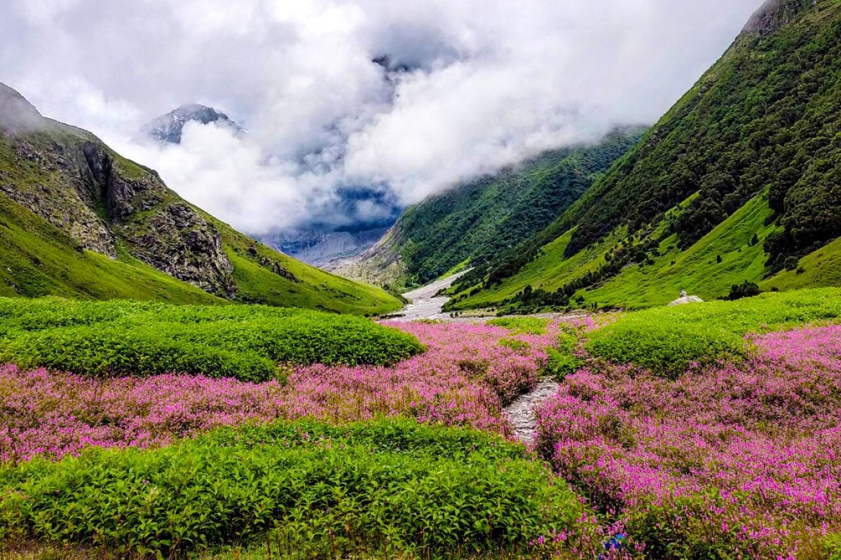 b3d630fb-3f9a-4cc6-9fef-1be72e135695_VOF